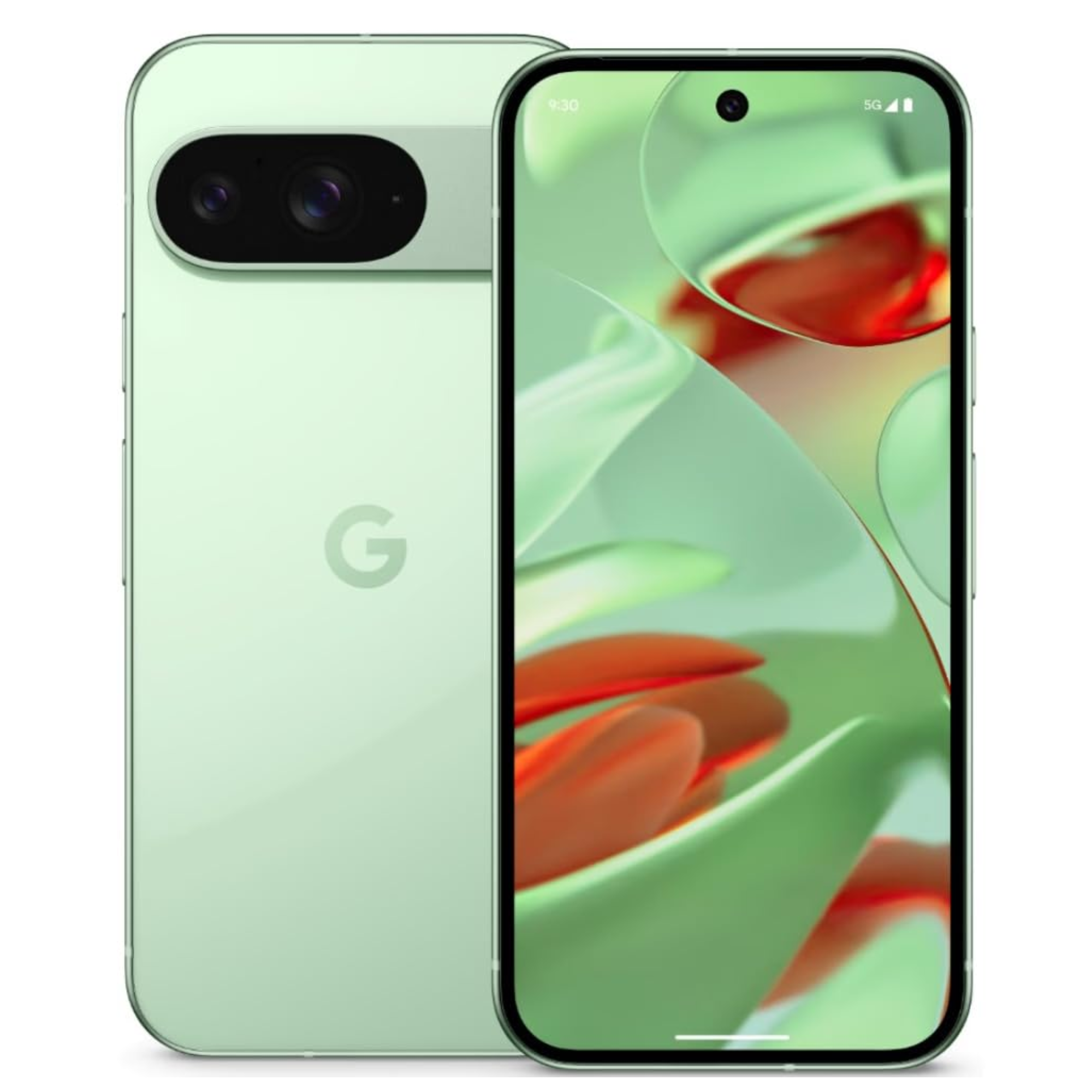 Google Pixel 9 (Wintergreen, 256 GB) (12 GB RAM)